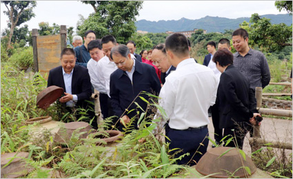 贵州省副省长陶长海一行莅临曾氏晒醋调研指导